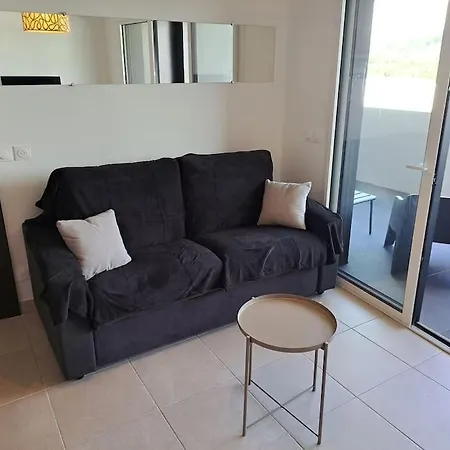 Apartment De Standing, 4 Pers, Clim, Parking, Iconic Agde